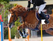 ADDIS ITACA MIA CampITA2013- S5 0938 : ADDIS PIERPAOLO, Campionati Italiani 2013, Cattolica, Horse Riviera Resort, ITACA MIA, foto di Stefano Secchi ©